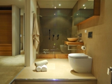 Great bathroom design, Italian toilets, Nelson